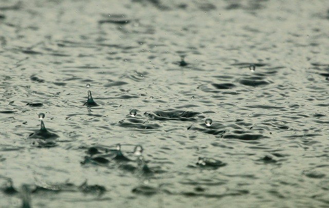 rain hitting the surface of a lake
