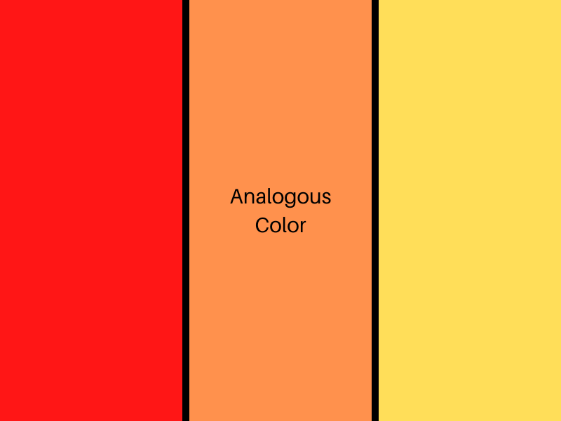 Analogus Color