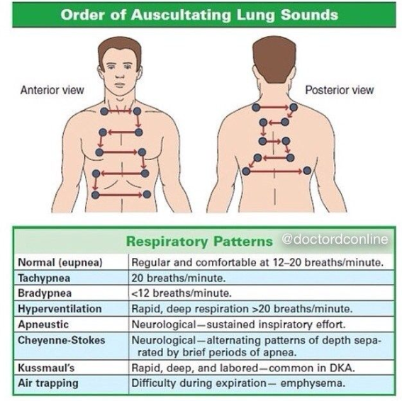 discuss adventitious breath sounds